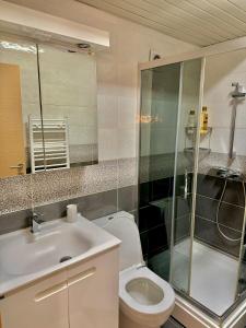 ein Bad mit einem WC, einer Dusche und einem Waschbecken in der Unterkunft Modern & Cozy in Skopje