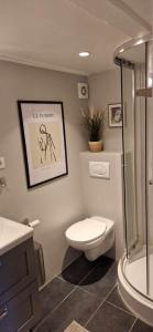 een badkamer met een toilet, een wastafel en een douche bij Charming apartment in Old town - great location in Reykjavík