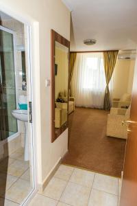 a bathroom with a sink and a toilet in a room at Hotel Lyra in Oradea