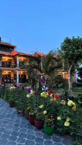 a bunch of flowers inront of a building at Chautari Garden Resort in Sauraha