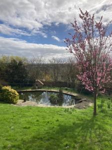 einen Teich auf einem Feld mit einem Baum und einer Brücke in der Unterkunft Yellowstone, The Garden Apartment in Radstock