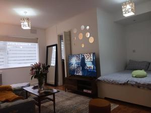 uma sala de estar com uma cama e uma televisão de ecrã plano em Stanmore em Stanmore