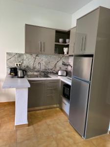 Kuchyň nebo kuchyňský kout v ubytování Vladimiros Apartments