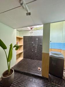 a bathroom with a shower with a potted plant at The Little House in Dickwella