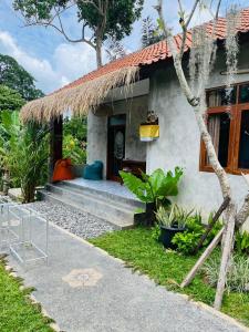 a house with a bench in front of it at Yasa Backpackers house in Ubud