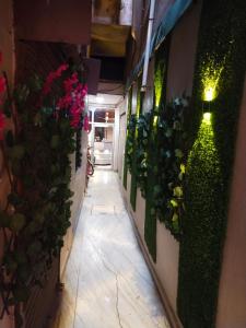 瓜廖爾的住宿－Hotal Balaji，墙上挂着植物和鲜花的走廊