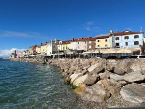 een groep gebouwen aan de oever van het water bij Apartman Arioso in Piran