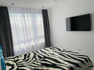 Gallery image of Apartment 2 bedrooms in Chişinău