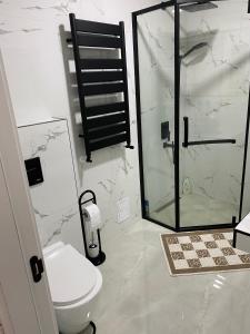 a bathroom with a toilet and a glass shower at Apartment 2 bedrooms in Chişinău