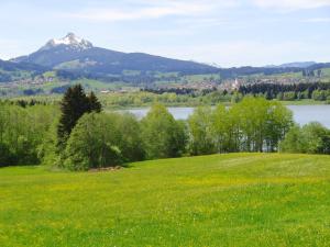 un champ d'herbe verte avec une montagne en arrière-plan dans l'établissement Landhaus Sonnwinkl, à Wertach