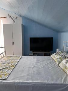 TV a/nebo společenská místnost v ubytování Apartmani Leila