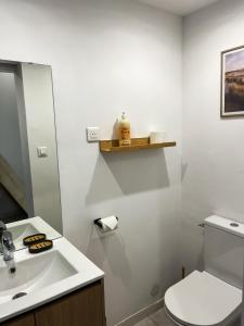La salle de bains est pourvue d'un lavabo, de toilettes et d'un miroir. dans l'établissement La Villa Saint Val, à Saint-Valery-sur-Somme