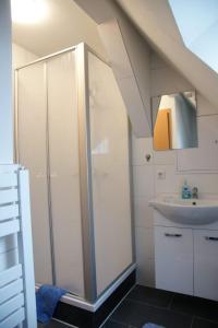ein Badezimmer mit Dusche und Waschbecken in der Unterkunft Das Sofa Restaurant-Hotel-Spätkauf in Greifswald