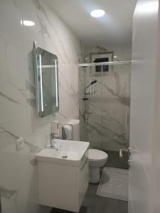 y baño con aseo, lavabo y ducha. en Apartment GORA, en Međugorje