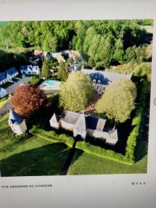 an aerial view of a house with trees and a yard at Château de la Menaudière in Chissay-en-Touraine