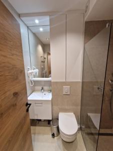 Koupelna v ubytování ZLATNI JAVOR 312