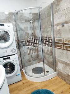 a shower in a bathroom next to a washing machine at Apartman Selska in Zagreb