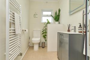 bagno con servizi igienici e lavandino di West Cowes Penthouse a Cowes
