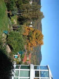 a bus is parked next to a hill with trees at Ferienwohnung Bergblick in Zella-Mehlis