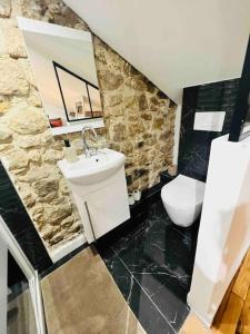 ein Bad mit einem Waschbecken und einem WC in der Unterkunft Maison avec spa proche paris in Saint-Denis