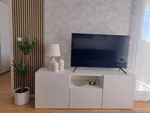 TV a/nebo společenská místnost v ubytování Salona Lux