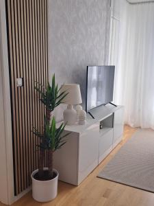 TV a/nebo společenská místnost v ubytování Salona Lux