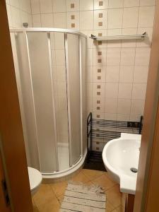 a bathroom with a shower and a toilet and a sink at Apartmán pod Prokopem in Železná Ruda