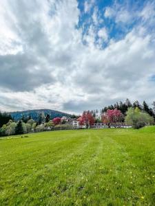 a field of green grass with trees in the background at Apartmán pod Prokopem in Železná Ruda