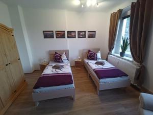DohnaにあるFerienwohnungen Familie Winterのベッドが2つと窓のある部屋 +55枚の写真