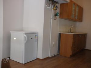 a kitchen with a white refrigerator and a sink at Apartment Paradise Michalská in Prague