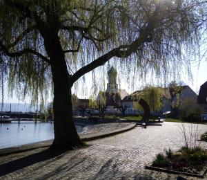 Ein Baum in einem Park neben einem Wasserkörper in der Unterkunft Haus Braun in Wasserburg