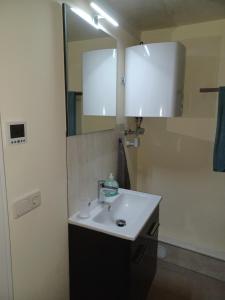a bathroom with a white sink and a mirror at Ferienwohnung Niederottendorf in Neustadt in Sachsen