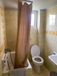 a bathroom with a toilet and a shower curtain at Akrata Studio in Akrata