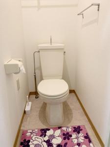 a bathroom with a white toilet with a purple rug at 精品新装修60平米2卧室阳光公寓#干湿分离#高速无限制网路#专用电梯直达#3站直达新宿#最大7人#itk501 in Tokyo
