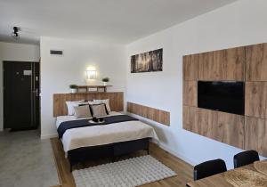 um quarto com uma cama e uma televisão de ecrã plano em nowe Apartamenty Willa Sowia - Śnieżnik, Kowadło, Rudawiec, Jaskinia Niedźwiedzia em Stronie Śląskie