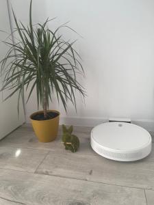 a potted plant and a white printer on a floor at Nikifor Apartamenty Krynica-Zdrój in Krynica Zdrój