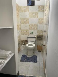 een kleine badkamer met een toilet in een stal bij Lions house arusha Airbnb in Arusha