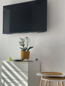 a tv on a wall with a plant on a dresser at Nikifor Apartamenty Krynica-Zdrój in Krynica Zdrój