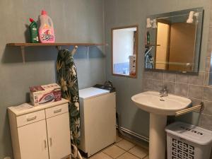ein Badezimmer mit einem Waschbecken, einem WC und einem Spiegel in der Unterkunft Chez Marie et Lucien in Vianges