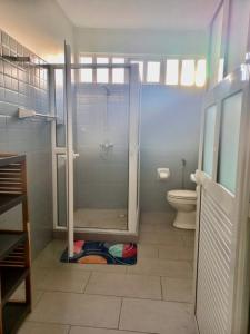 La salle de bains est pourvue d'une douche et de toilettes. dans l'établissement L'Appart 93, à Pointe aux Biches