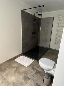 a bathroom with a toilet and a shower at Różany Dom w Dominikowie in Dominikowo