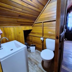 a bathroom with a toilet and a sink at Chácara Bela Vista in Taquara