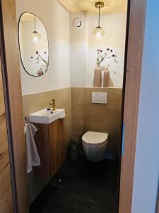 uma casa de banho com um WC, um lavatório e um espelho. em Chic lodge-apartments em Ehrwald