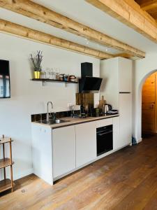 uma cozinha com armários brancos e um lavatório em Chic lodge-apartments em Ehrwald