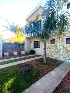 a palm tree in front of a house at Depto SomoS in Colón