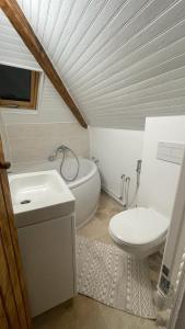 a bathroom with a white toilet and a sink at Appartement Aéroport Orly in Athis-Mons
