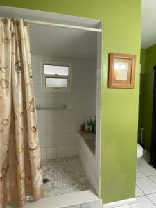 a bathroom with a shower with a shower curtain at One Bed Suite near Beaches and Downtown Sarasota in Sarasota