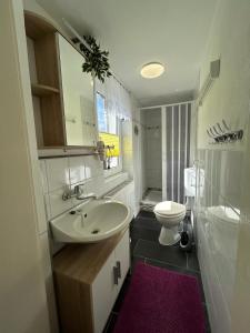 La salle de bains est pourvue d'un lavabo et de toilettes. dans l'établissement Ferienwohnung Streit, à Gohrisch