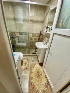a bathroom with a shower and a toilet and a sink at Lovely flat , full furnished with free parking in Prizren
