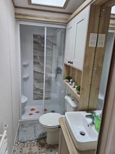 a bathroom with a shower and a toilet and a sink at Roadnights Retreat in Heysham